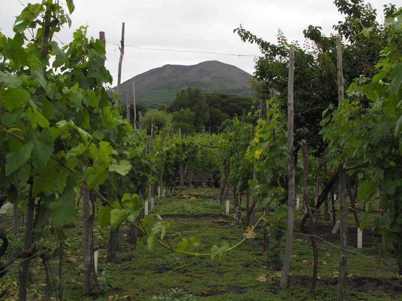 Villa Vesuvio Trecase Exteriér fotografie